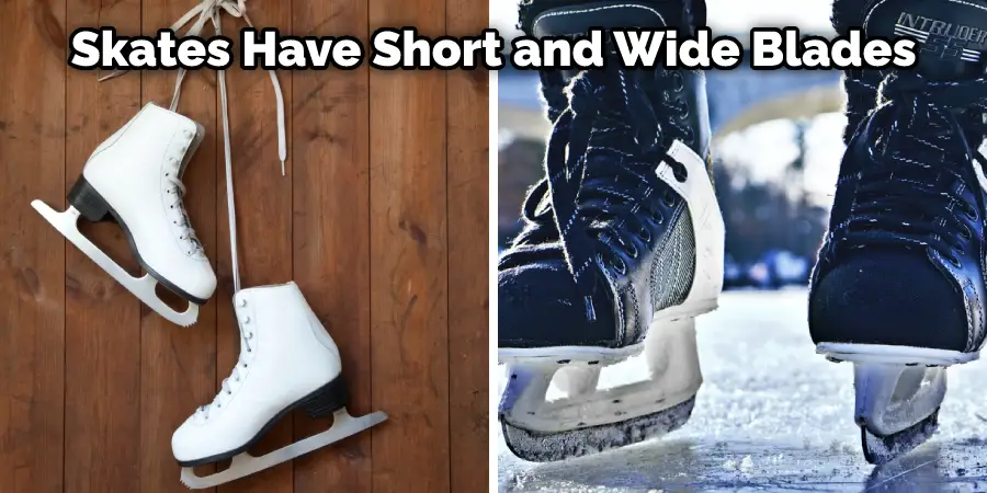 Skates Have Short and Wide Blades
