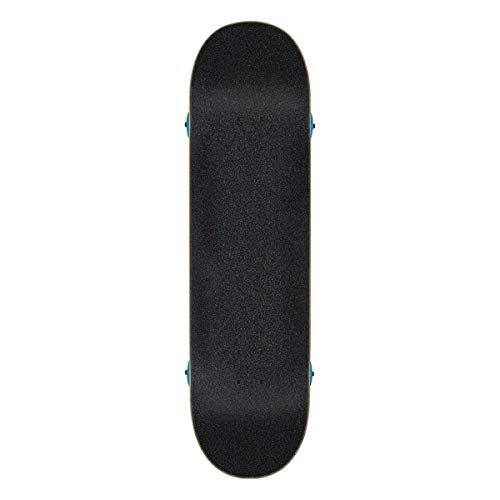 Best Skateboard Brands